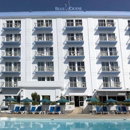 Blue Crane Hotel Apts Λεμεσός Εξωτερικό φωτογραφία