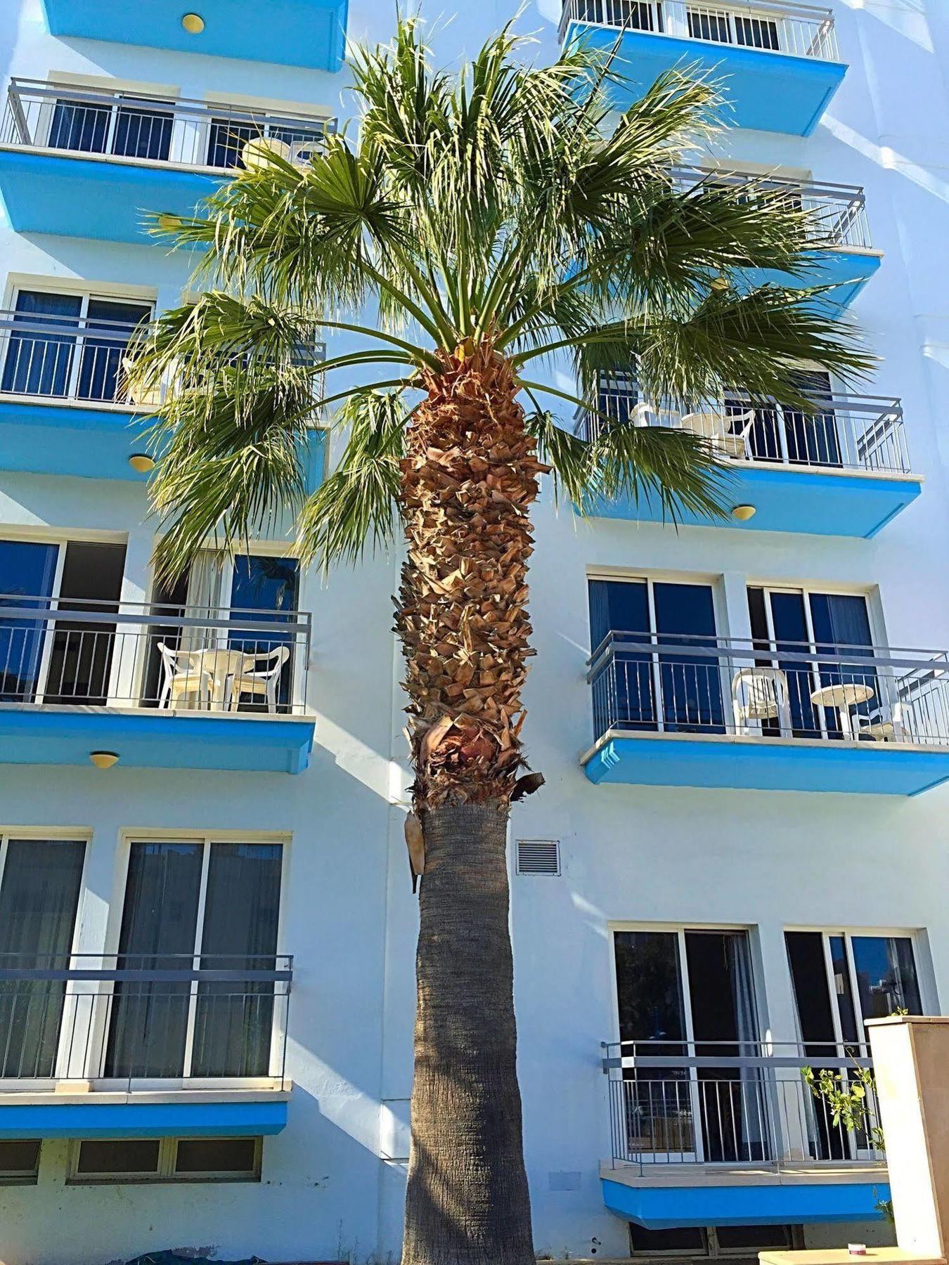 Blue Crane Hotel Apts Λεμεσός Εξωτερικό φωτογραφία