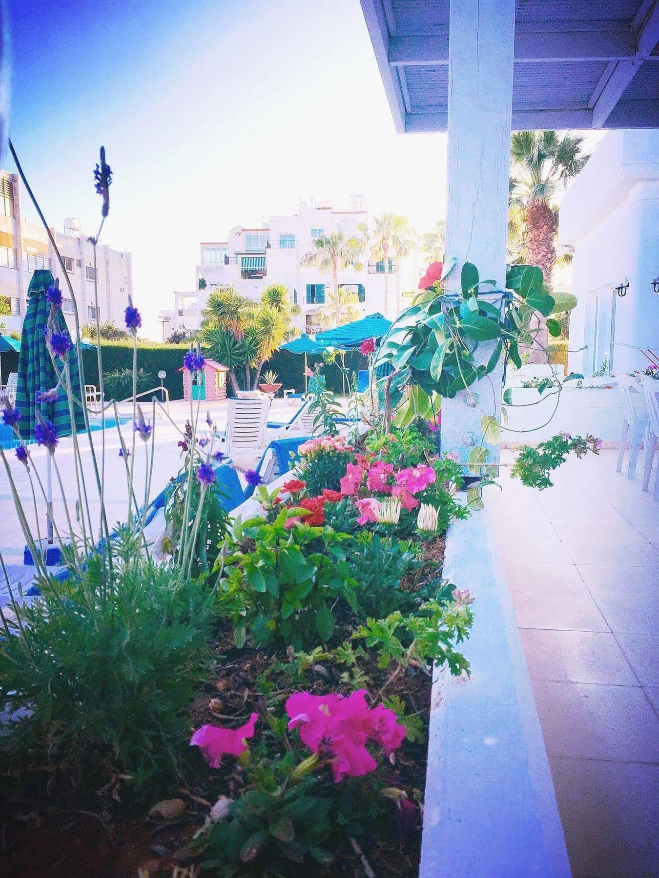 Blue Crane Hotel Apts Λεμεσός Εξωτερικό φωτογραφία